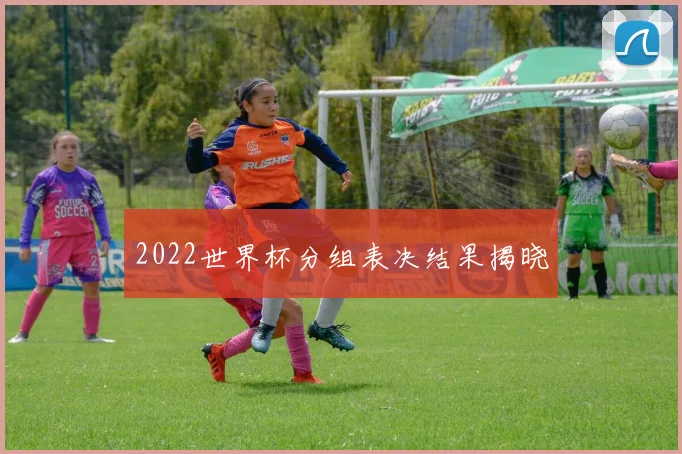 2022世界杯分组表决结果揭晓