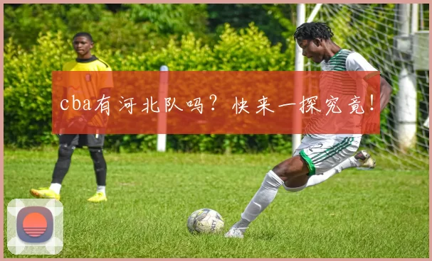 cba有河北队吗?快来一探究竟!